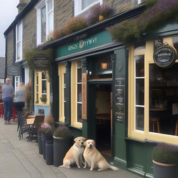 Dog-friendly pub exterior in Aberystwyth