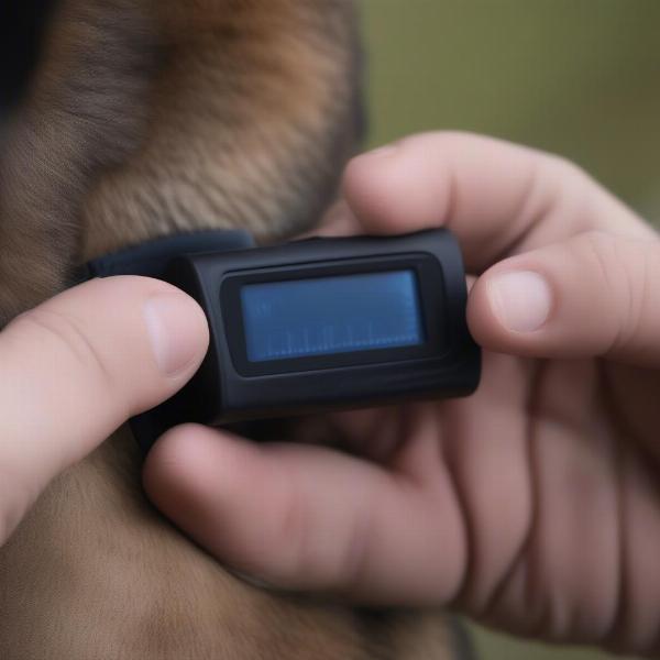 Adjusting Ultrasonic Bark Collar