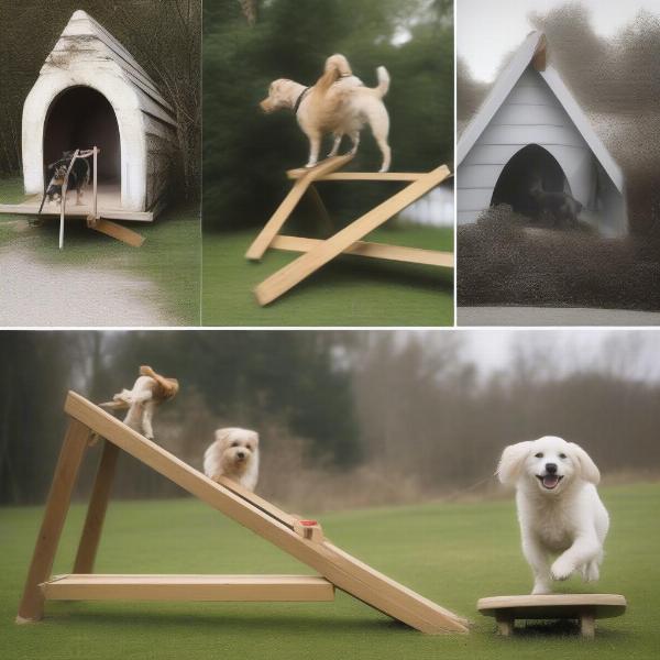 Advanced Dog Agility Equipment