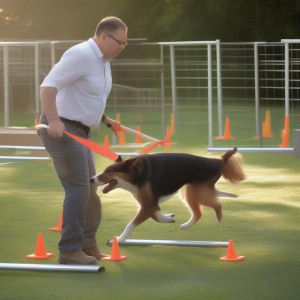 Advanced Dog Agility Training