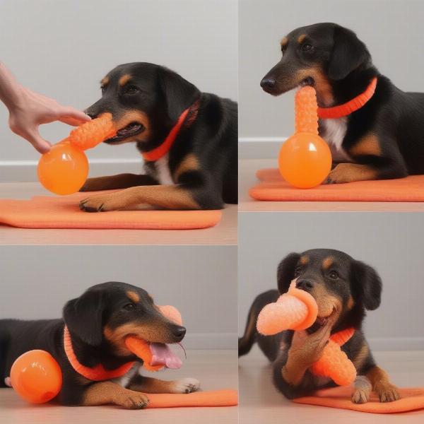 Testing the Durability of an Aperol Spritz Dog Toy