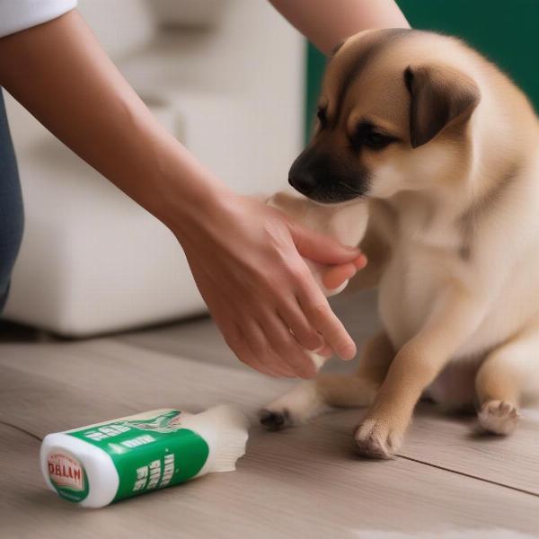 Applying Bag Balm to a Dog