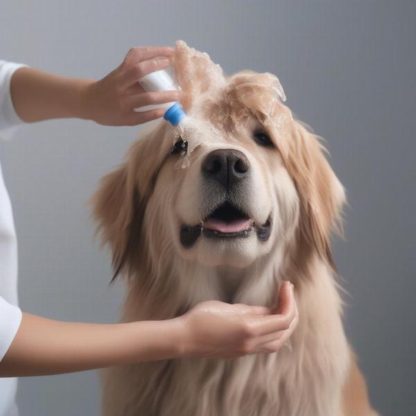 Applying Conditioner to a Dog