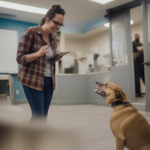 Asking questions at a dog boarding facility in Arvada