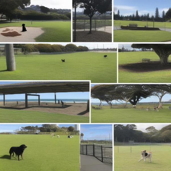 Auckland off-leash dog parks offer a variety of terrains and sizes.