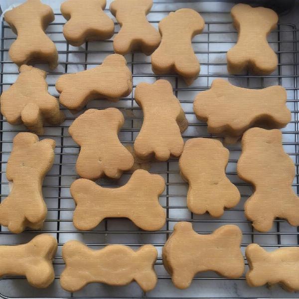 Baked Homemade Dog Treats for Sensitive Stomachs