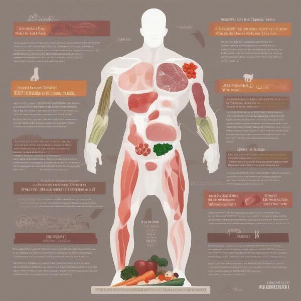 Balancing Raw Dog Food Nutrients