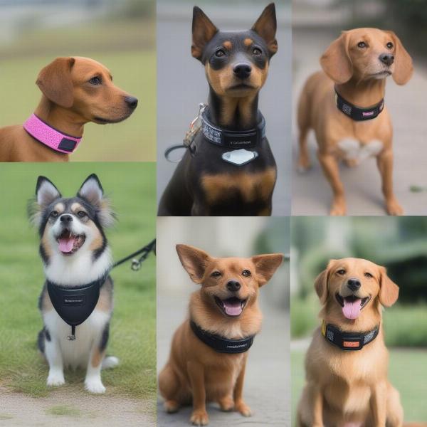 Types of Barking Collars for Small Dogs