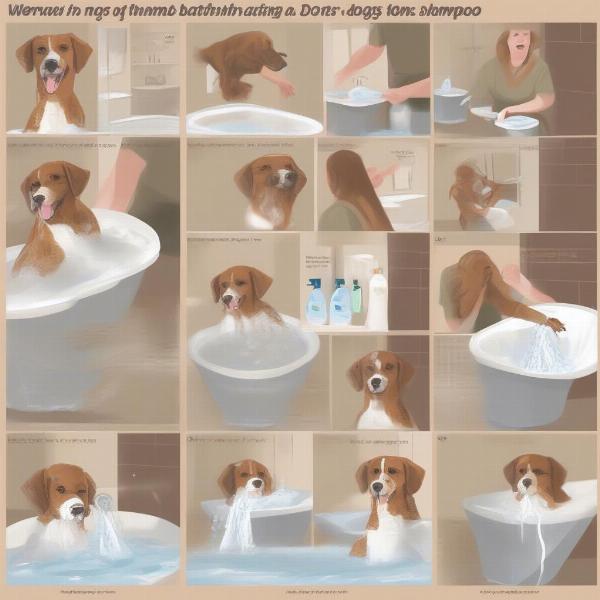 Bathing a Dog with Dander Shampoo