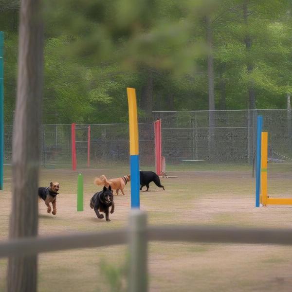 Bear Branch Dog Park in The Woodlands