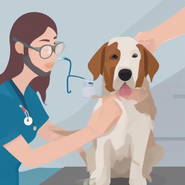 Bordetella Vaccine Administration in Dogs