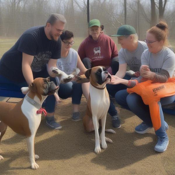 Volunteers at a Boxer Rescue in Ohio