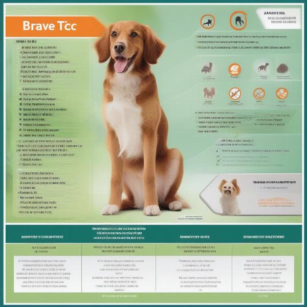 Bravecto vs. Other Flea and Tick Treatments