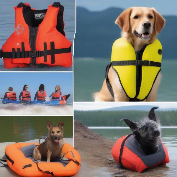 Different Types of Dog Life Vests