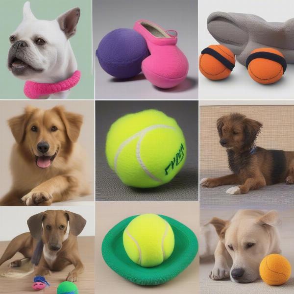 Various types of dog toy shoes