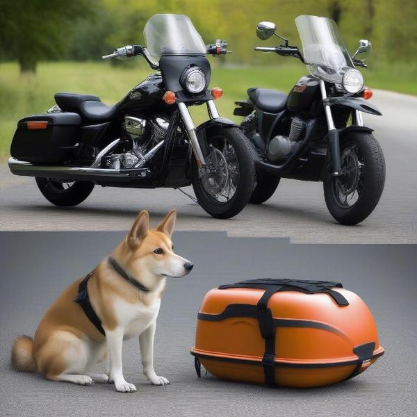 Different types of dog carriers for motorcycles