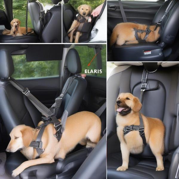 How to use a dog car seat harness