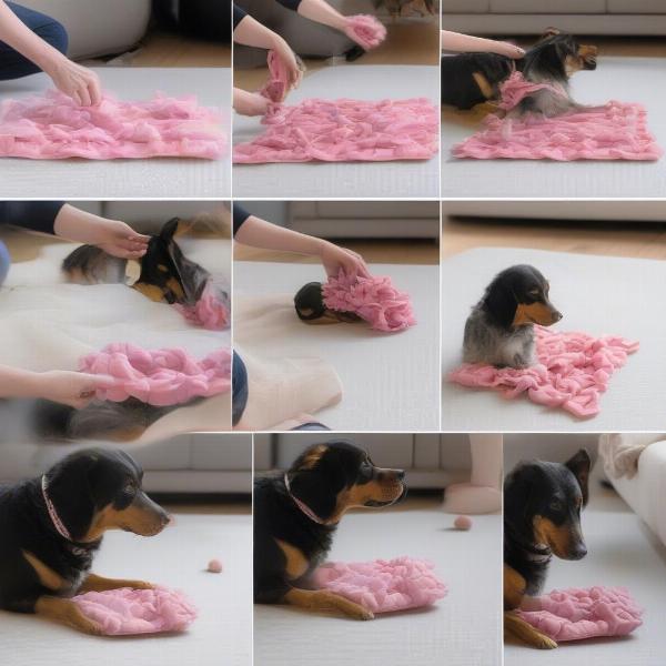 How to use a snuffle toy