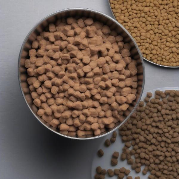 Comparing Canned and Dry Dog Food