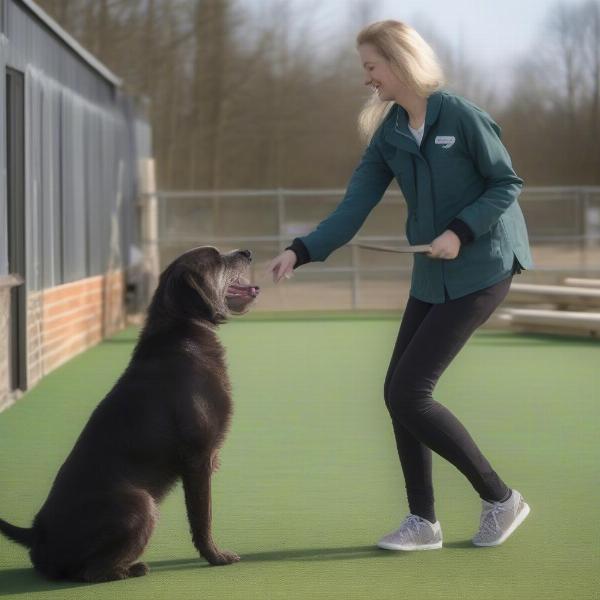 Caring Staff Interacting with a Dog