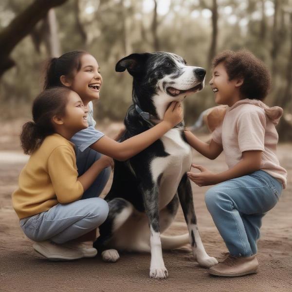 Catahoula Australian Shepherd with Family