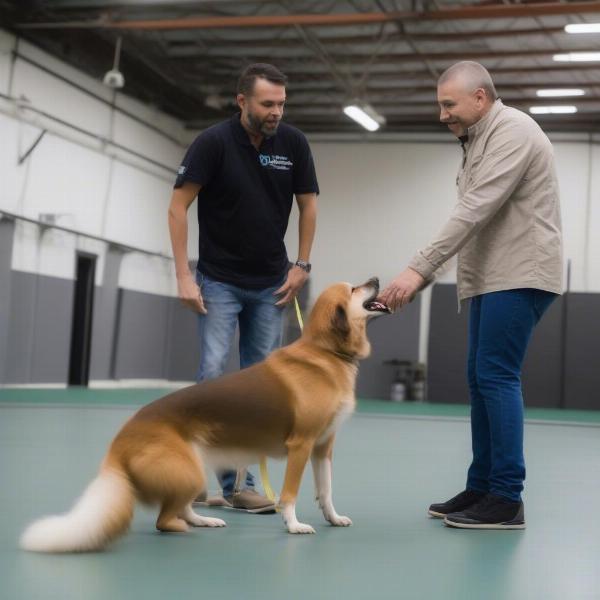 Certified Dog Trainer in Round Rock