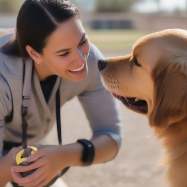 Certified Dog Trainer in Surprise AZ