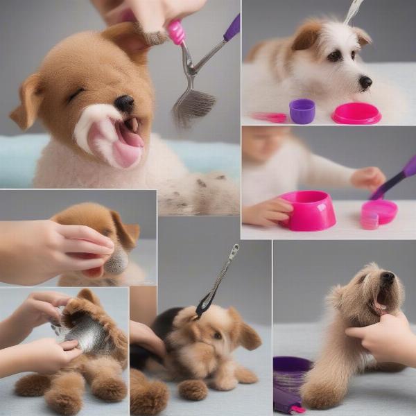 Caring for your toy pet dog