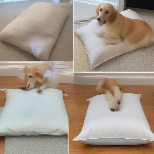 Caring for Your Dog's Pillow Bed