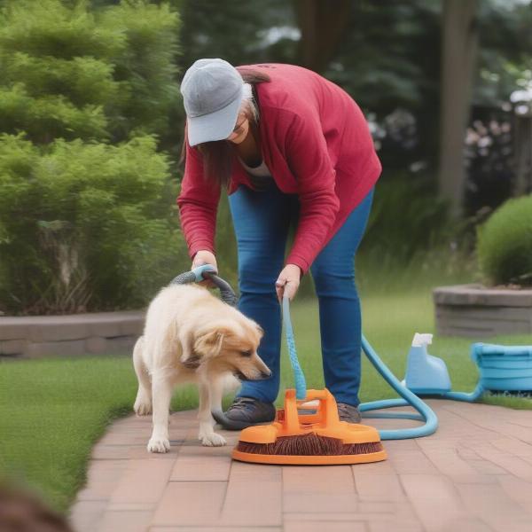 Maintaining hygiene in the dog area