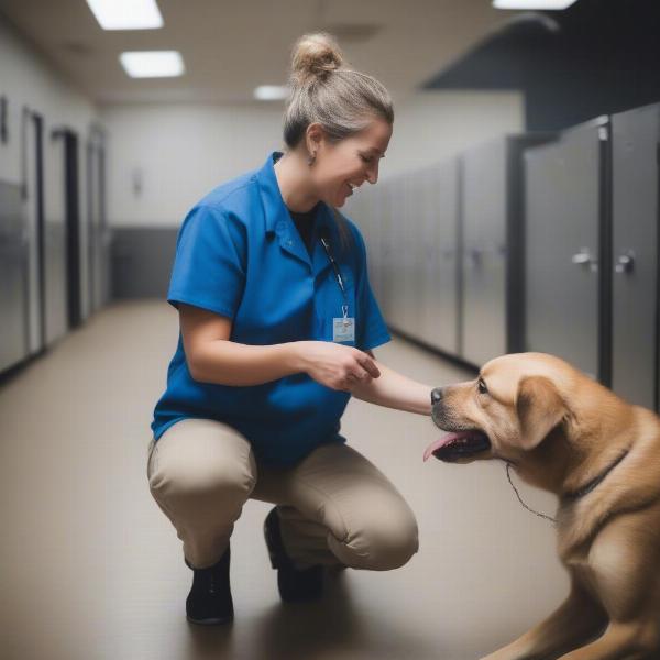 Checking a Dog Boarding Facility in Minot