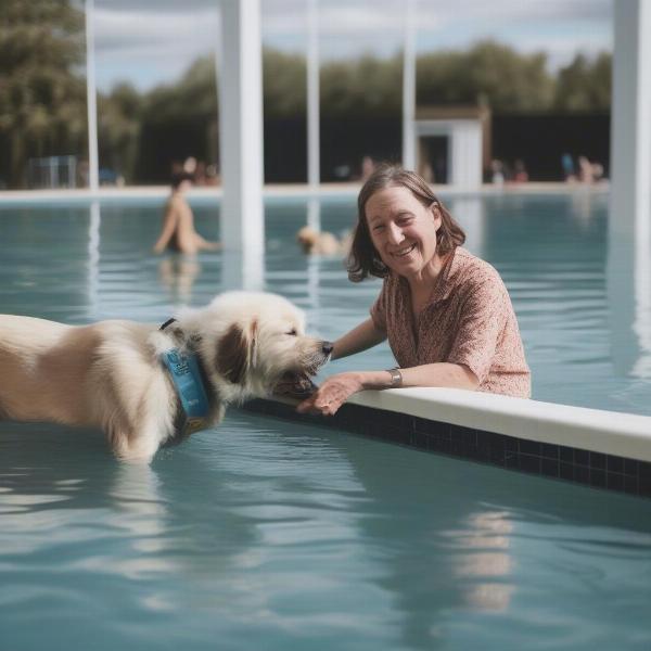 Tips for first-time visitors at Cheltenham Lido Dog Swim