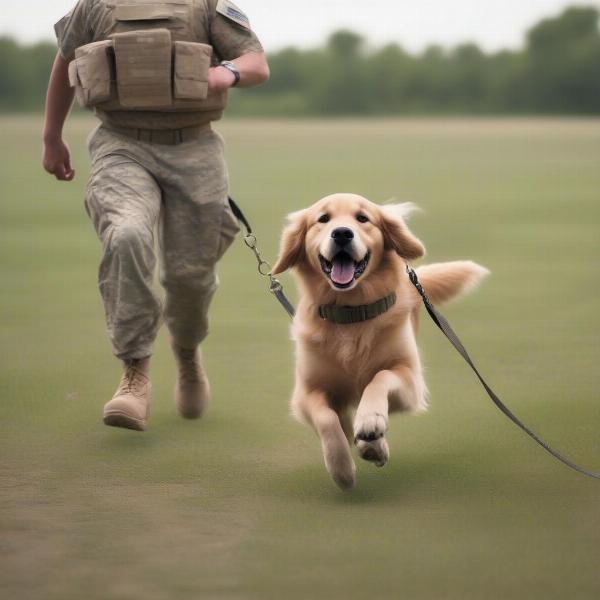 Dog running towards handler on "Come" command