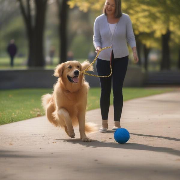 Dog playing safely with a spiky ball