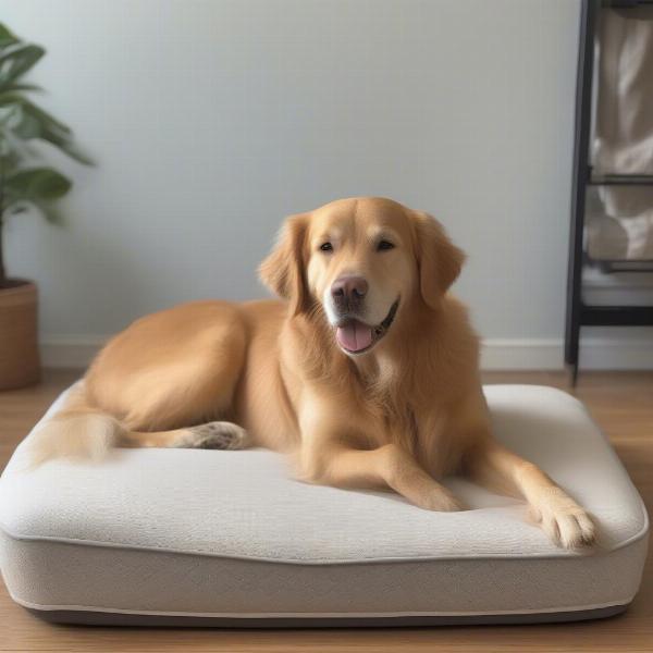 Old dog lying on a dog bed