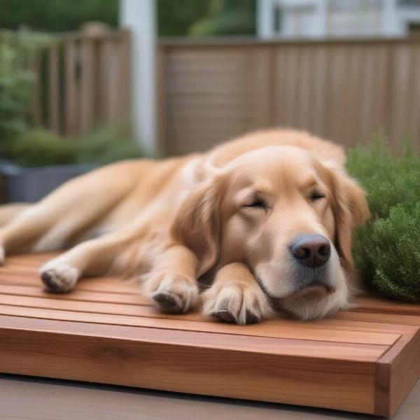 A dog sleeping peacefully on a cedar bed in a cozy setting.