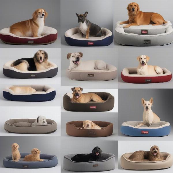 Choosing the right dog bed for a perfect fit