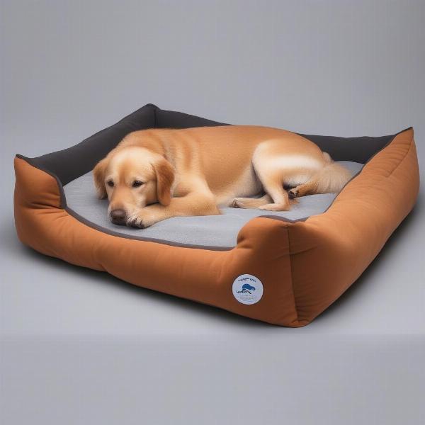 Choosing the Right Bed for a Drooly Dog