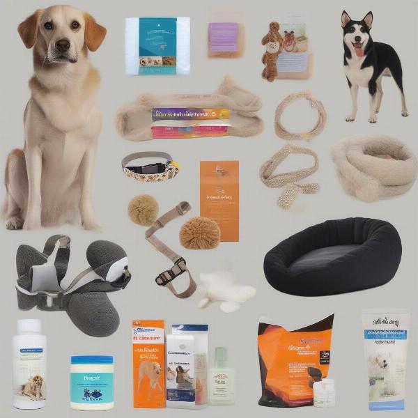 Choosing Products Based on Your Dog's Specific Needs