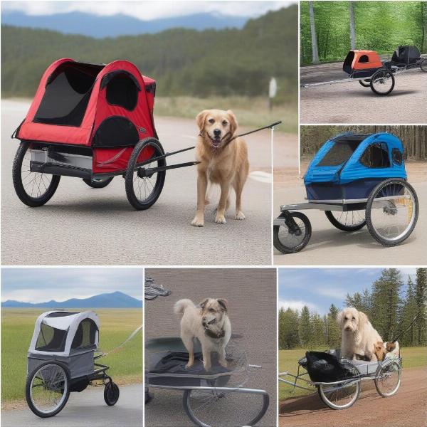 Choosing the Right Dog Bike Trailer