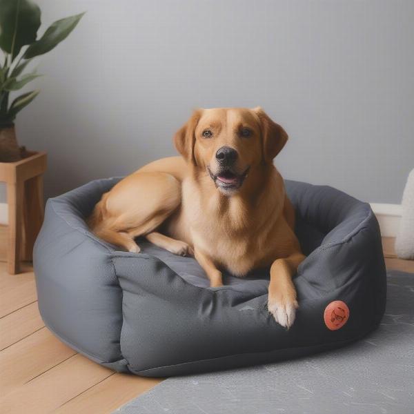 Tips for choosing a large waterproof dog bed