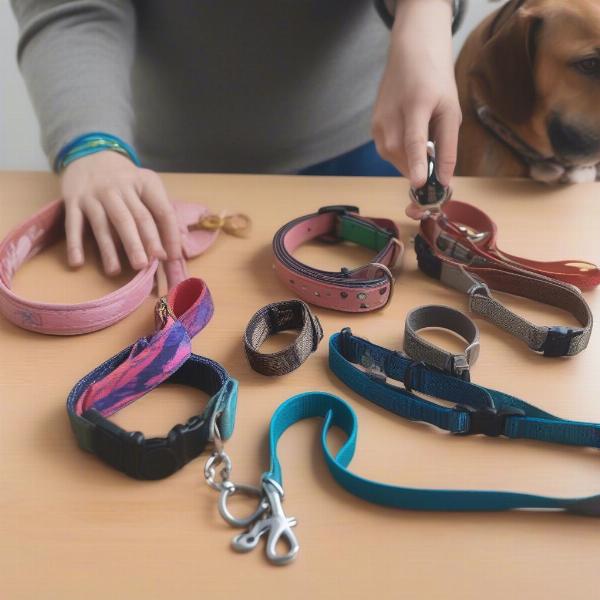 Choosing the right collar and leash for your dog