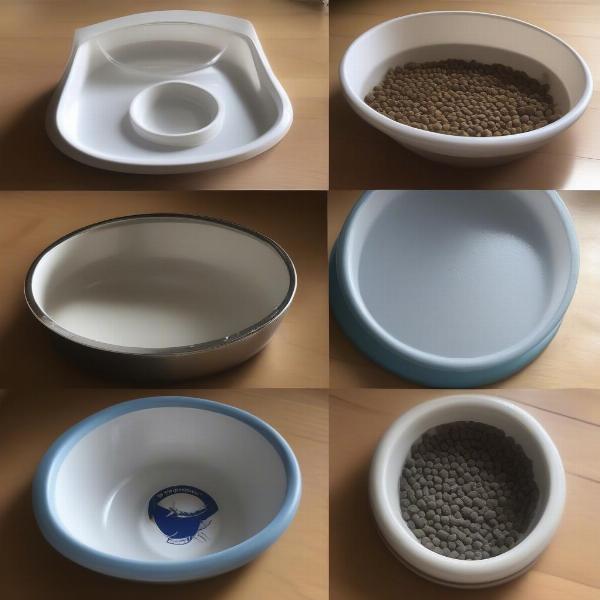 Choosing Dog Water Bowls Based on Size and Breed