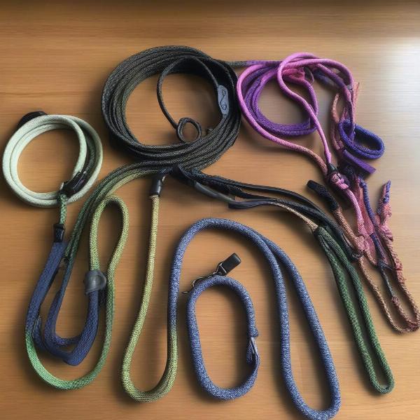 Selecting the Perfect Bungee Leash for Your Dog