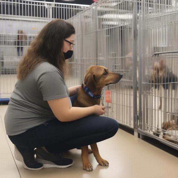 Choosing the Right Dog at an Adoption Event