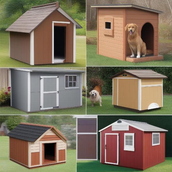 Choosing the Right Shed Dog House