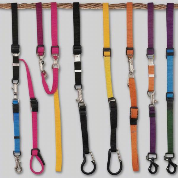 Selecting the appropriate two-handle dog leash