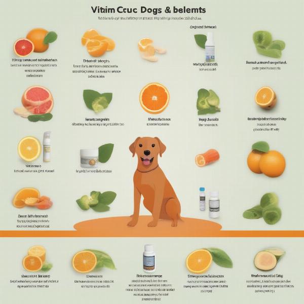 Choosing the Right Vitamin C Supplement for your Dog