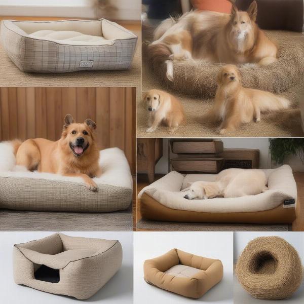 Choosing the Right Hay Dog Bed for Your Dog