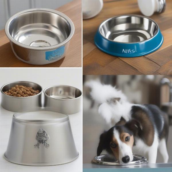 Choosing the Right Dog Water Bowl